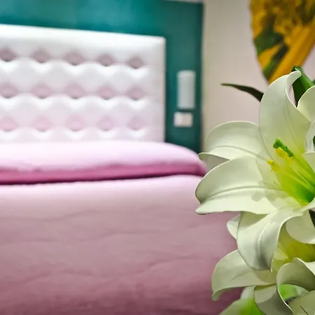 メモレ ゲストハウス サンレモ