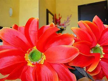 Maison d'hôtes Memole